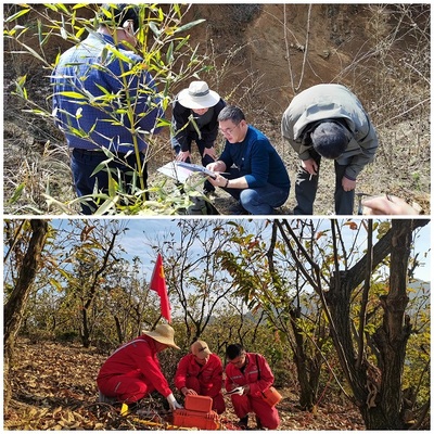 一改四提见行动 踔厉奋发创新绩——313地质队土地调查评估服务纪实